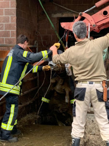 Abkl&auml;rung Tierrettung_3